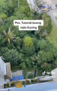 Buang Najis Kucing 5