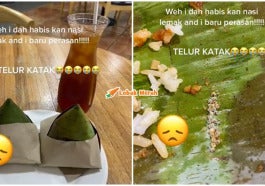 Ft Nasi Lemak Telur Katak