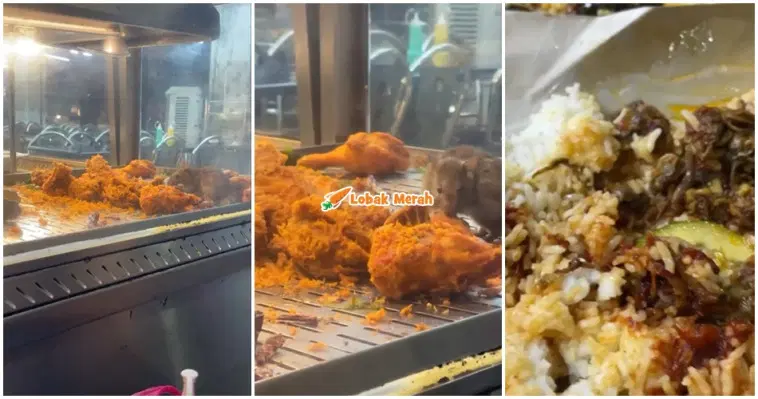 ft tikus bertenggek dekat ayam goreng mamak