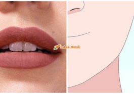 Warna Lipstick