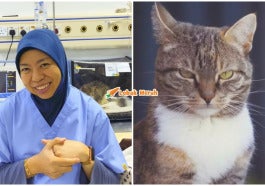 Ft Vet Bagi Tips Jaga Kucing Masa Balik Kampung