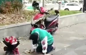 Melutut 2