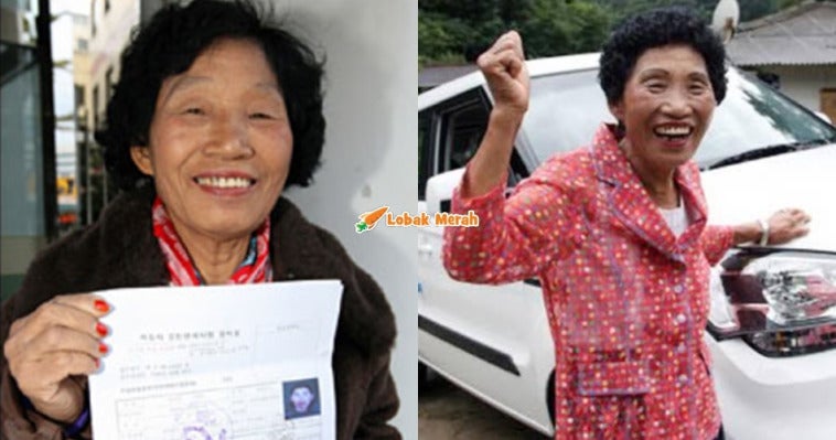 ujian memandu