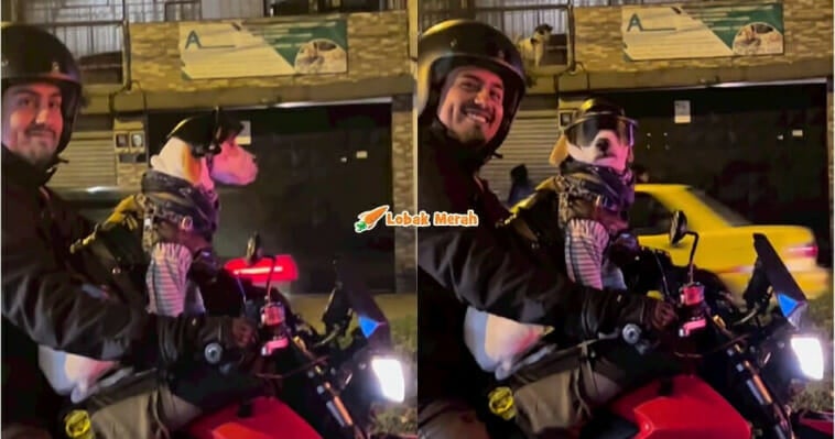 F4 Anjing Naik Motor Bersiar Siar Dengan Tuan