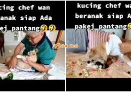 Kucing Chef Wan Pantang