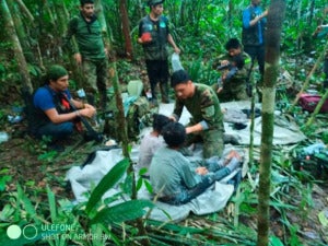 Hutan Amazon