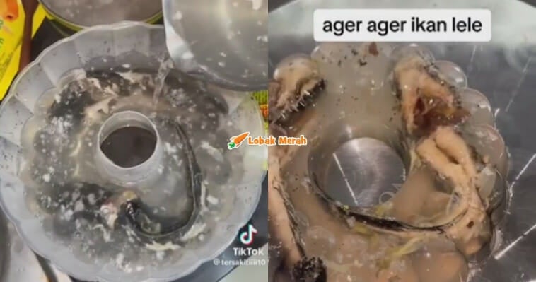 Agar-Agar