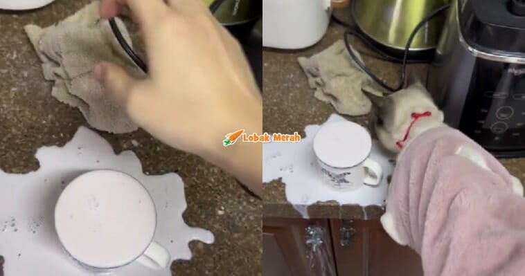 Susu Tumpah