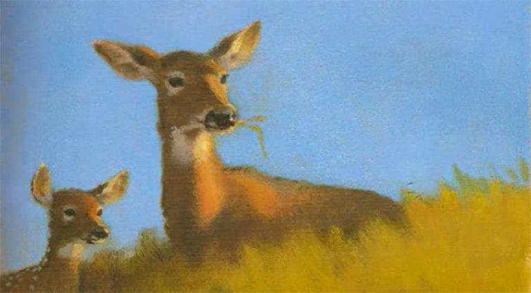 Bambi Mother 768X424 1