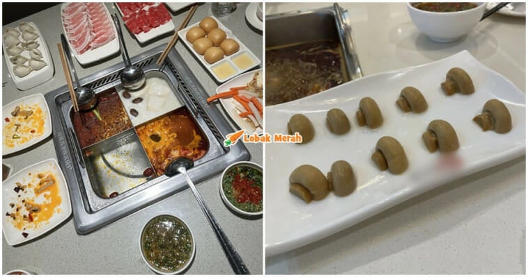 Cendawan Hotpot Mahal