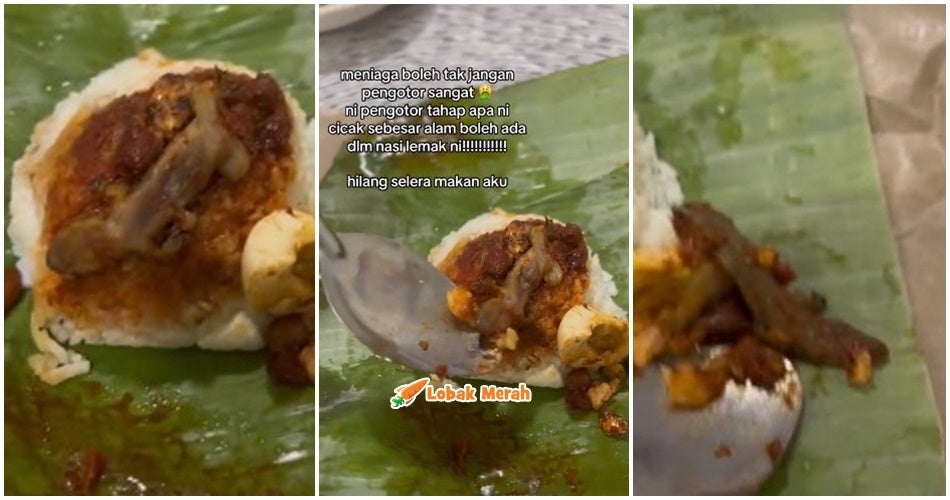 Cicak Atas Nasi Lemak