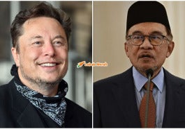 Ft Anwar Elon
