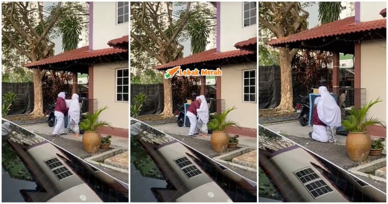 ft wanita meraung kucing dimakan ular