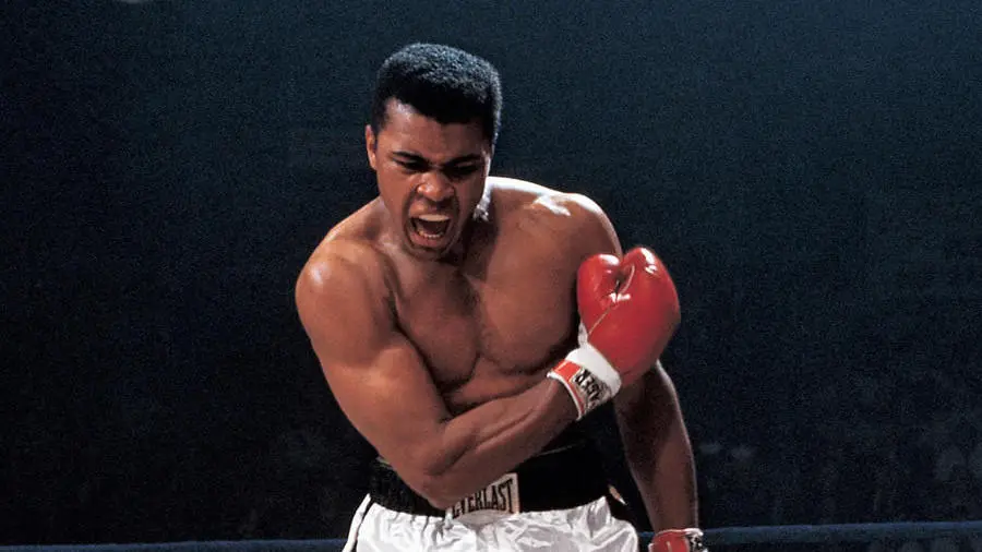 Muhammad Ali Wide.jpg