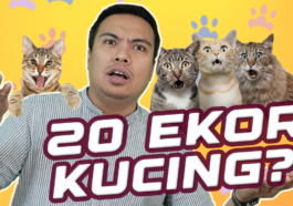 KUCING THUMBNAIL