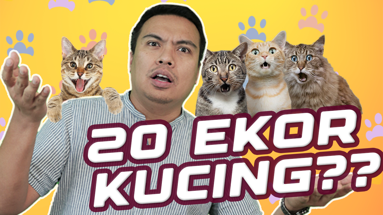 Kucing Thumbnail