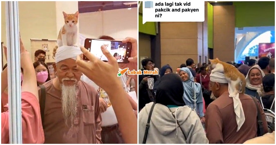 atuk oyen dan kucing