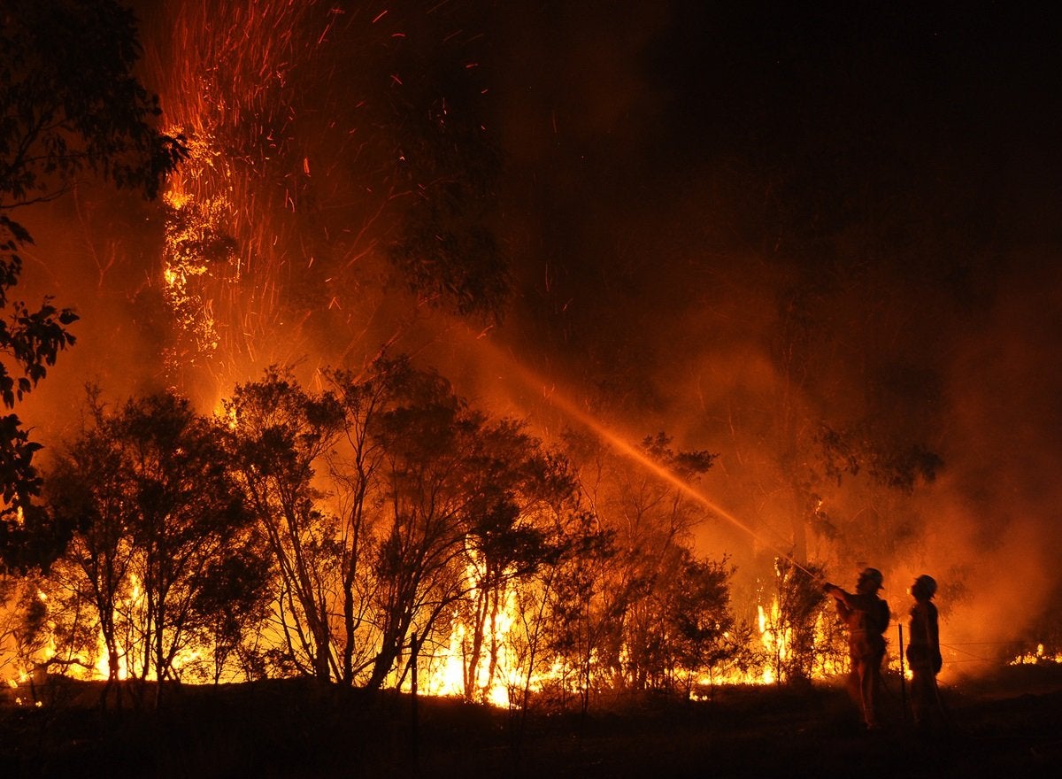 Fire Fighters At Forest Fire C Quarrie Photography.tmb 1200V