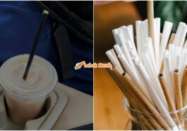 Straw Kertas Berbahaya