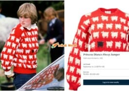 Ft Sweater Princess Diana