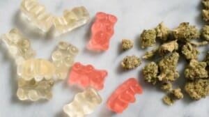 Weed Gummies 1296x728 header 1296x728 1 696x390 1