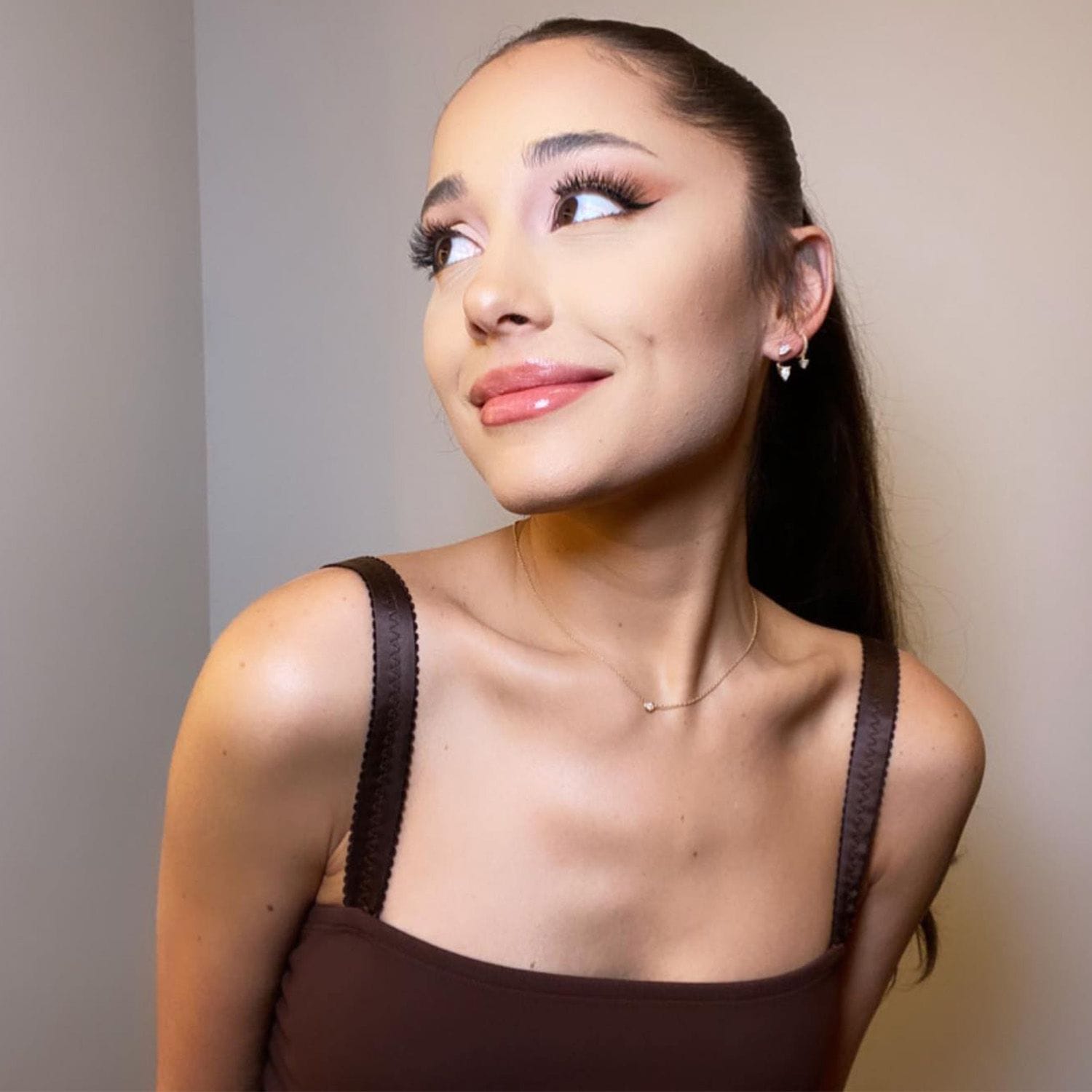 Arianagrandebrunette F667A0831Bb347E195663C57F55A9Ac8