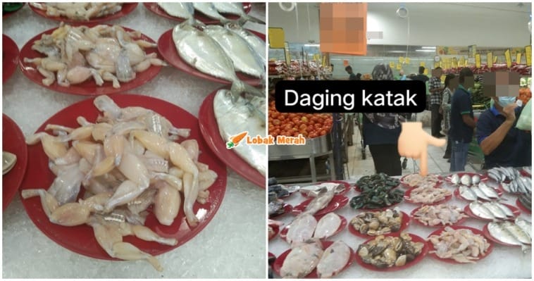 Daging Katak Sebelah Ikan