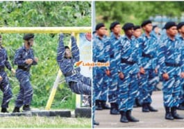 Ft Plkn