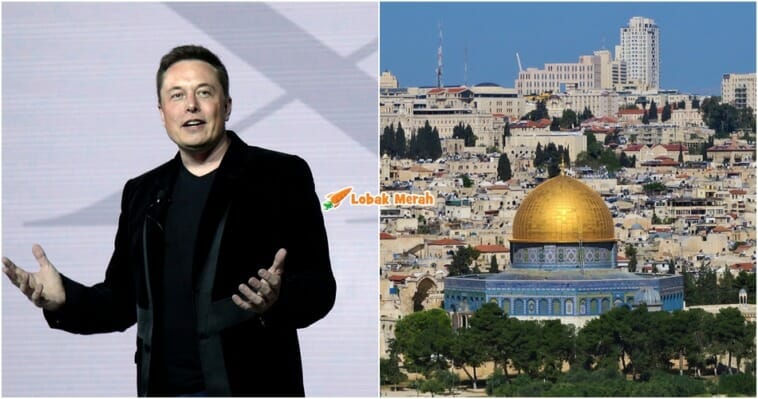 ft elon musk x palestin