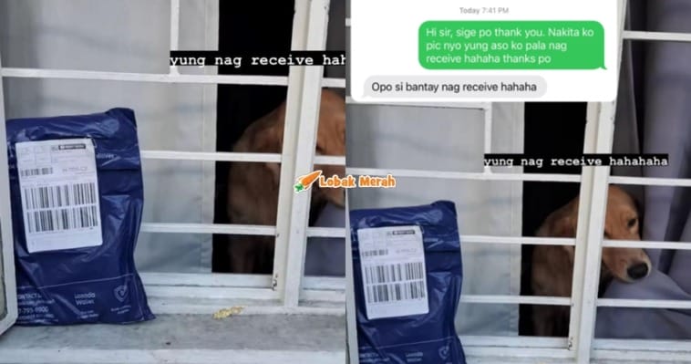 F3 Anjing Terima Parcel Bagi Pihak Tuan