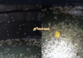 F3 Tangki Air Kolej Ums Tercemar
