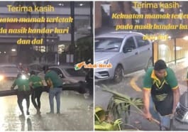 ft pekerja kedai mamak angkat pokok tumbang
