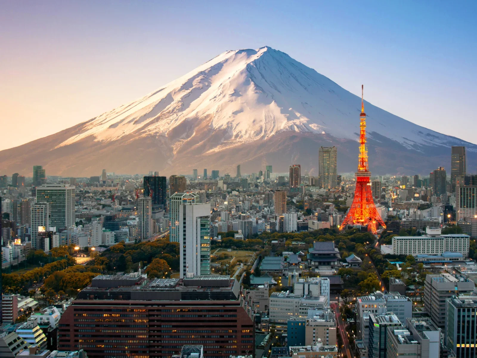 Tokyo 2021 Gettyimages 1208124099.Jpg