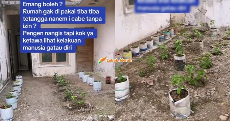 F4 Jiran Tanam Cili Depan Laman Rumah