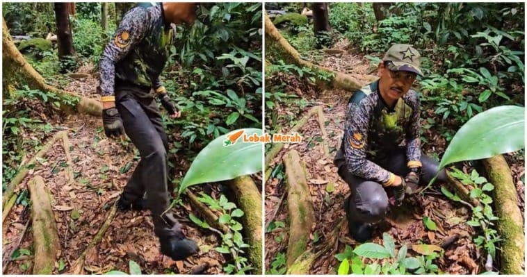 ft kencing dalam hutan