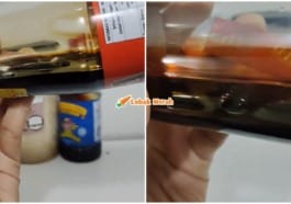 ft lipas dalam kicap