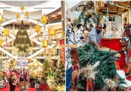 Pokok Krismas Hempap Kepala