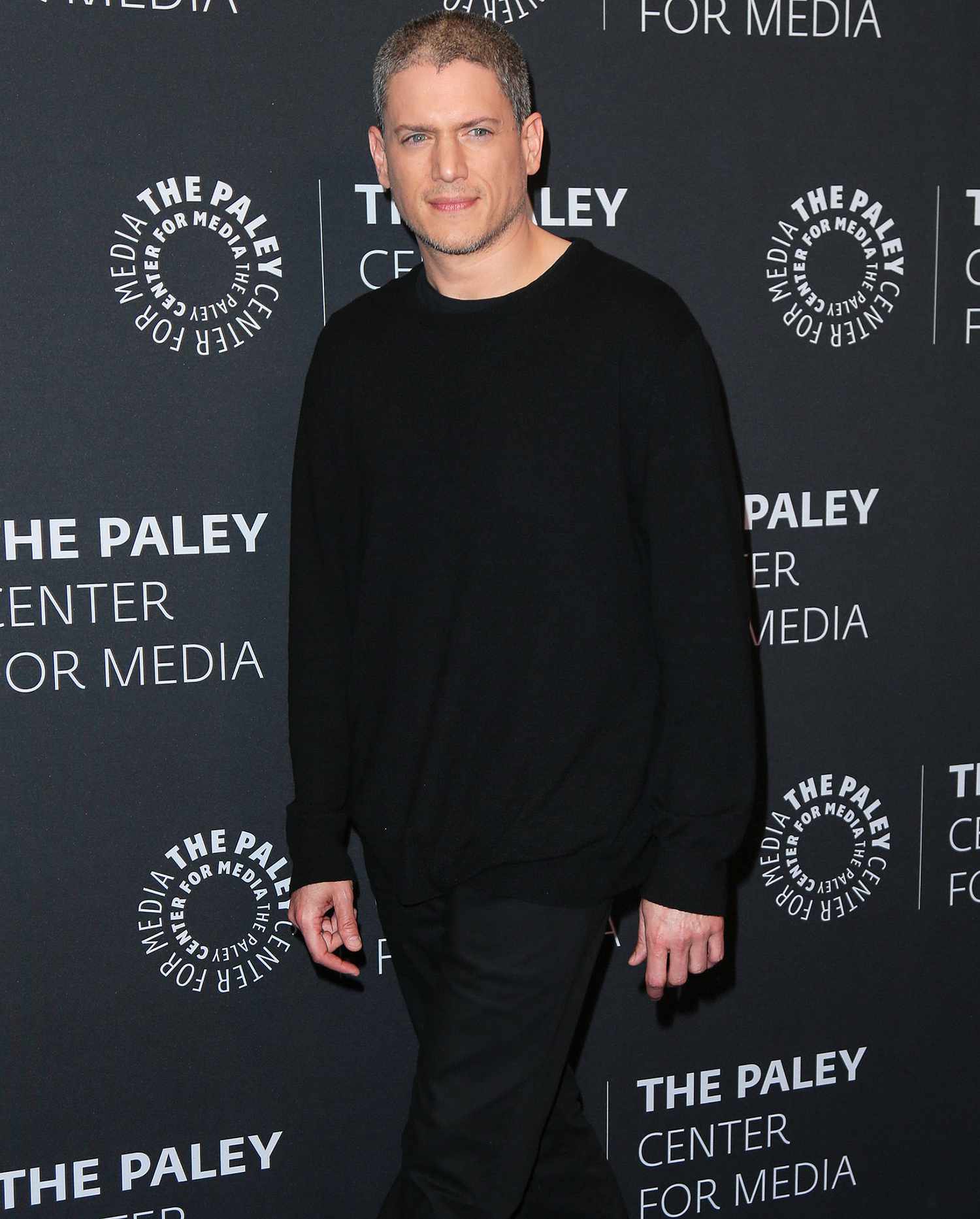 Wentworth Miller 7590D5D9D23049Aa86742346417Be34D