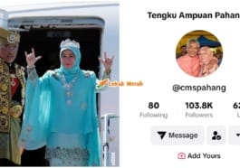 cms 15 1