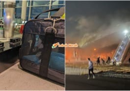 Ft Pesawat Jal Terbakar