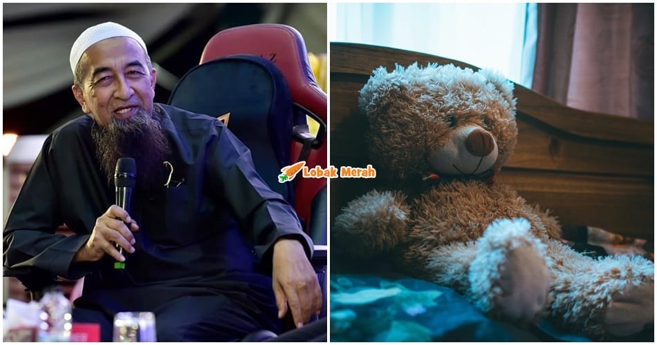 Tidur Teddy Bear Hukum Uai