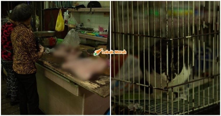 Daging Kucing Petaling Street1