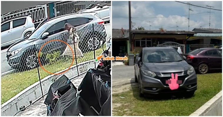 Makcik Patahkan Pokok