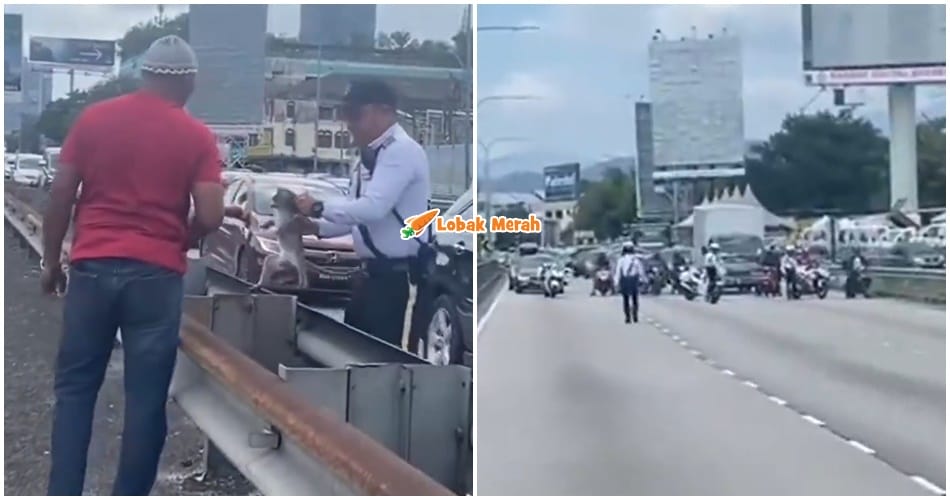 polis roadblock monyet