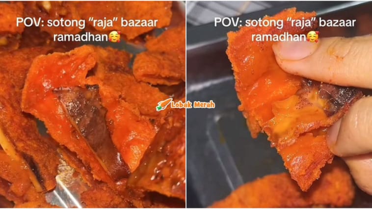 Sotong Raja