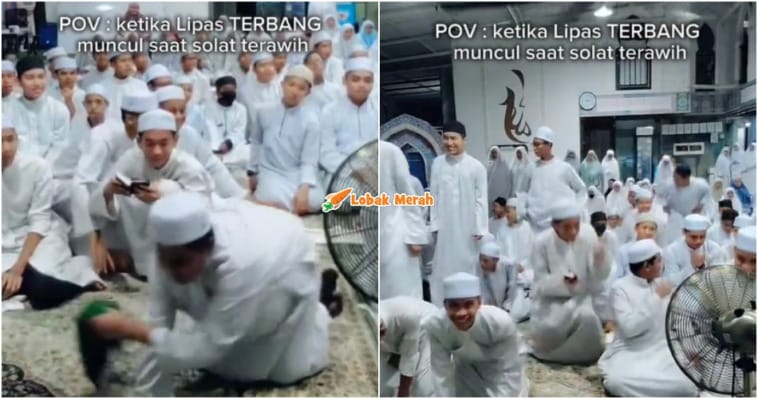 lipas terbang