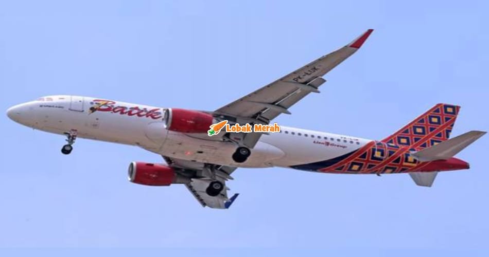 F2 Juruterbang Batik Air Tertidur