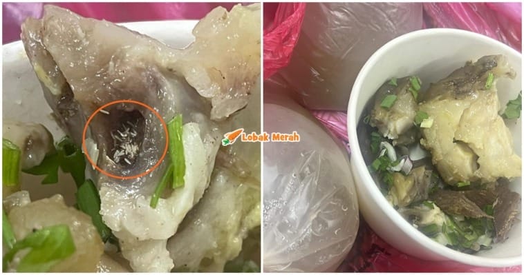 Sup Daging Telur Lalat