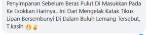 Lemang 2