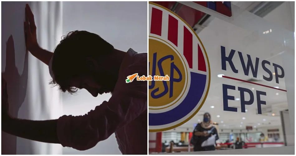 duda 6